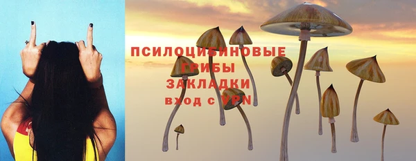 COCAINE Алексеевка
