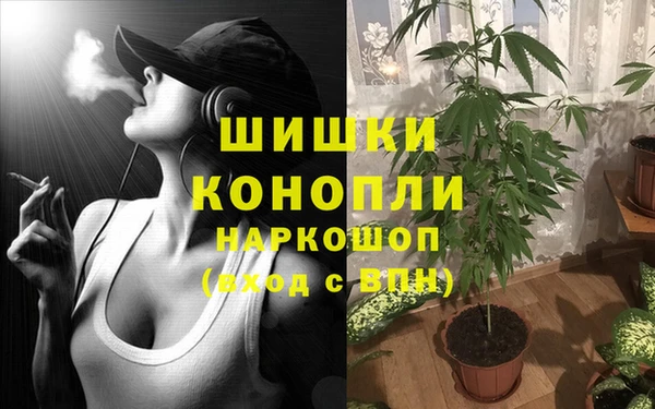 каннабис Алзамай
